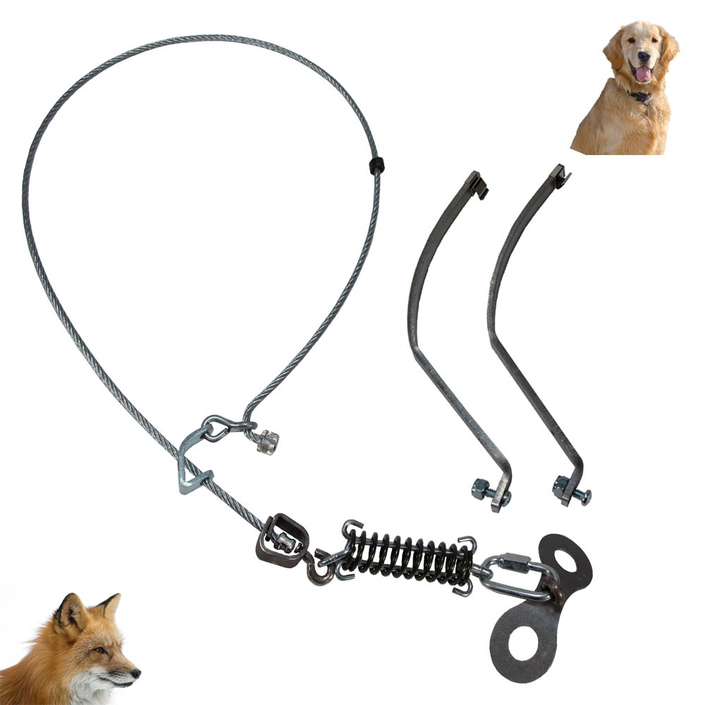 COLLARUM® Fox to Dog Conversion Kit