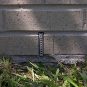 Insect Exclusion Pest Control