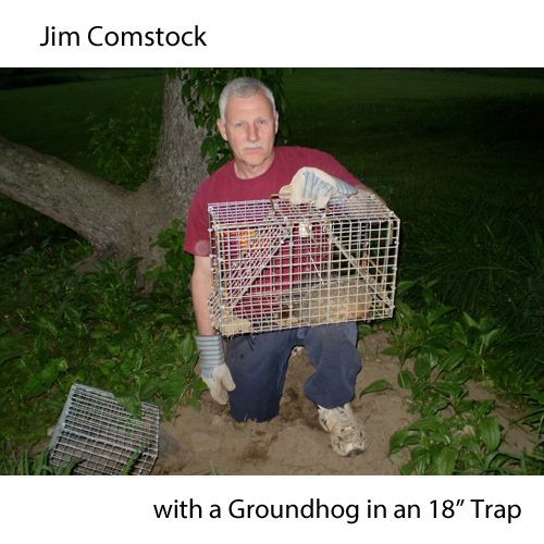 Wildlife Control Supplies: Comstock Double Door Trap - 18