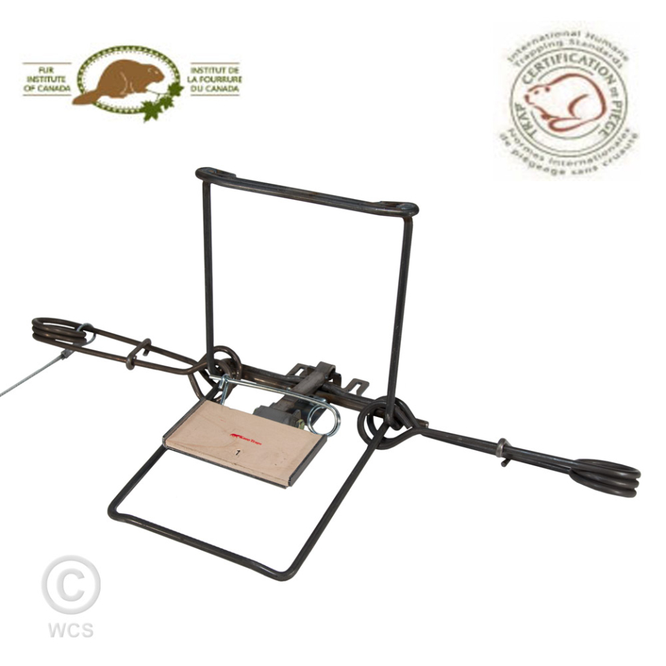 Koro_no1_Wooden_Pan_1000px_wWM