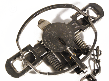 #3 Oneida Victor Double Coil Forged on Jaw - SINGLE