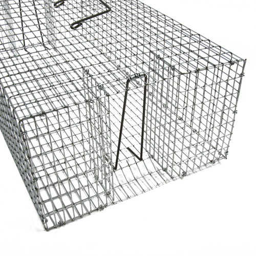 Pigeon Trap - Thumbnail 3