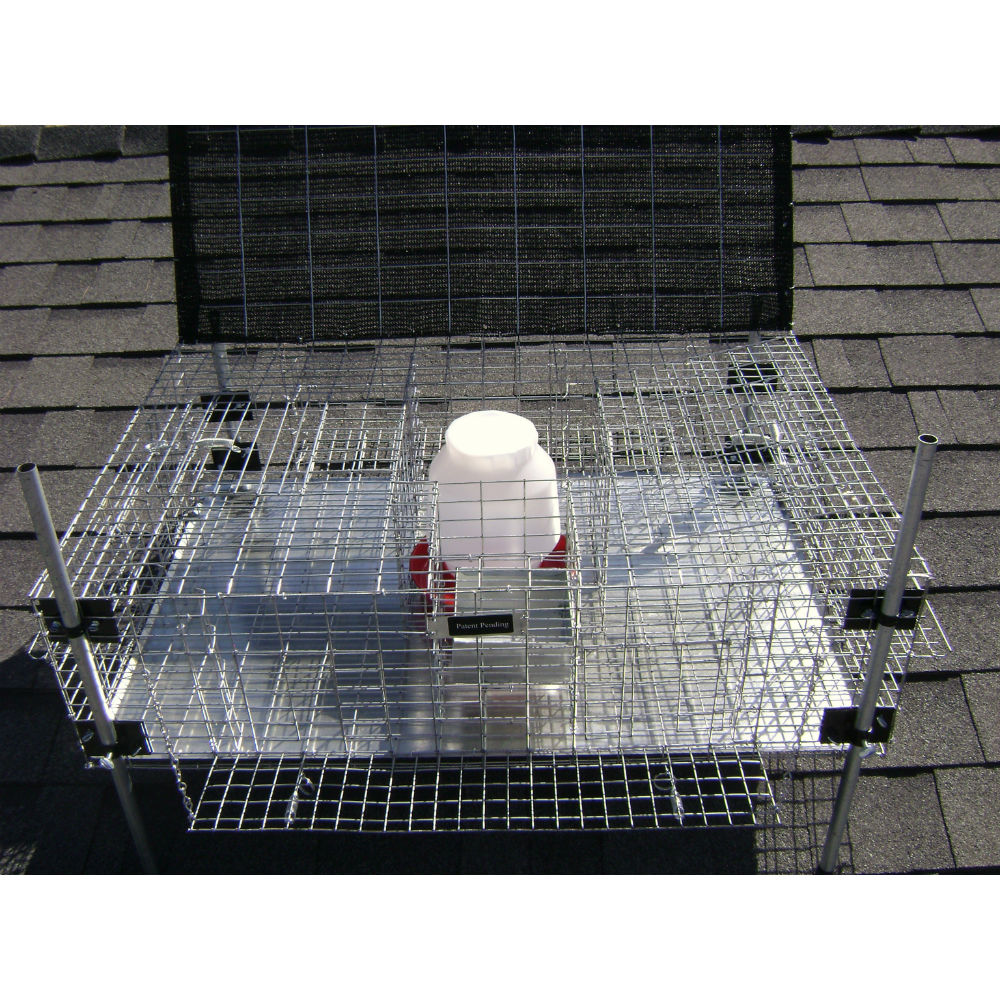 Tomahawk Adjustable Leg Rigid Pigeon Trap