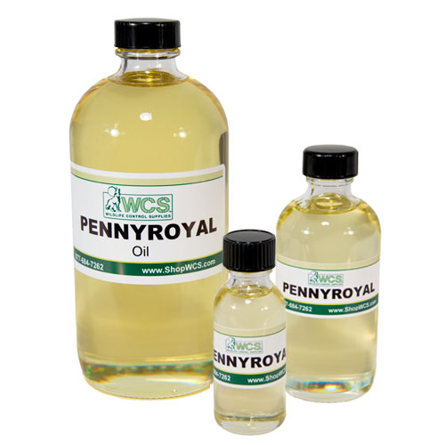 WCS™ Pennyroyal Oil