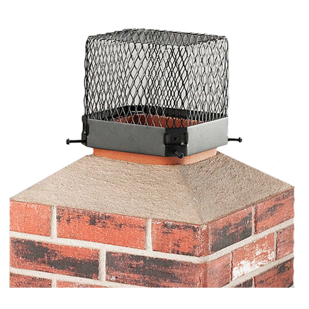 Raccoon Screen - Black-Painted Galvanized  Steel