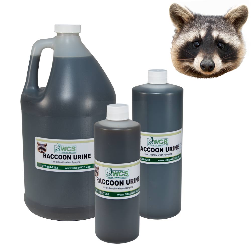 WCS™ Raccoon Urine Wildlife Control Supplies Product Code NWSRACU