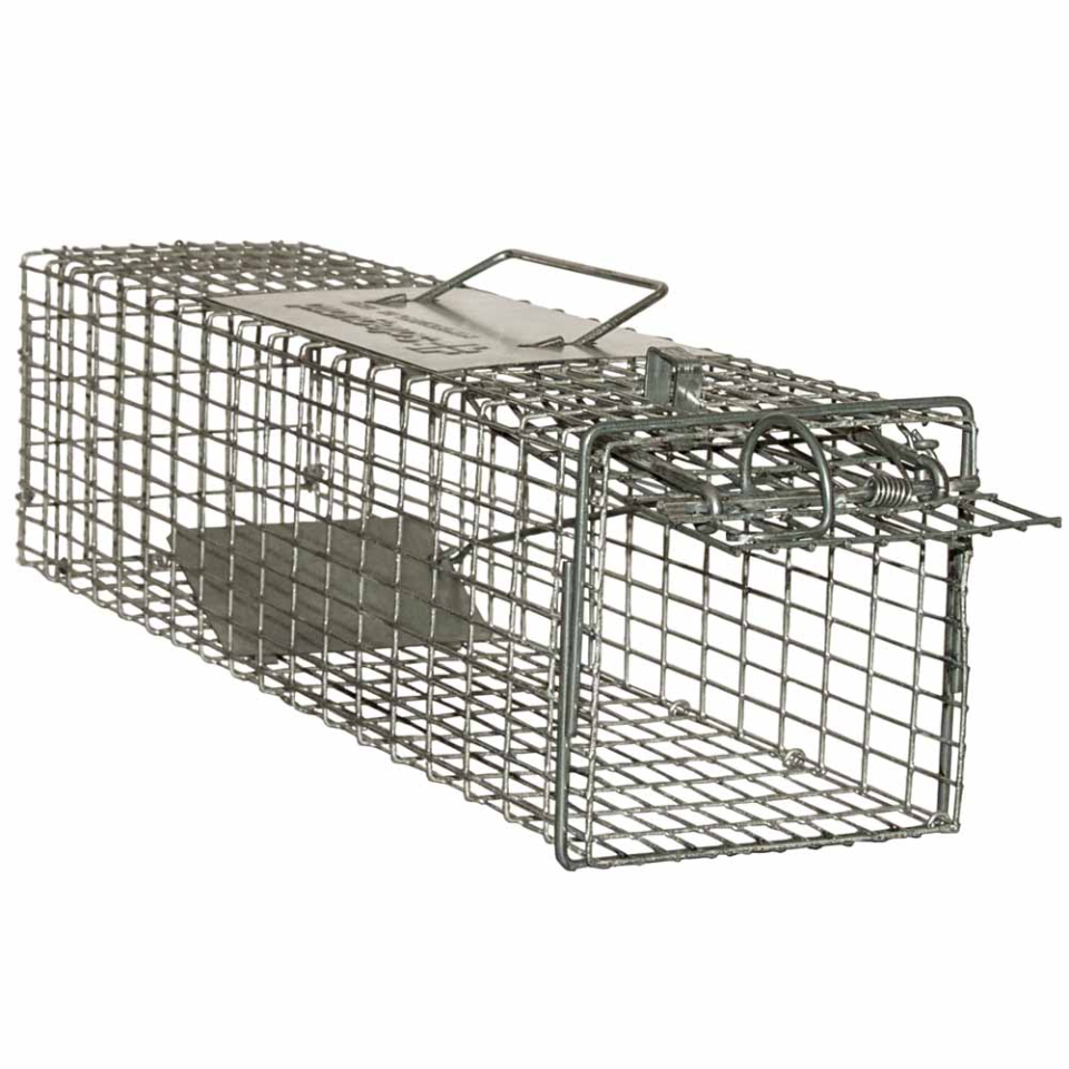 Safeguard_50450_Squirrel_Cage_