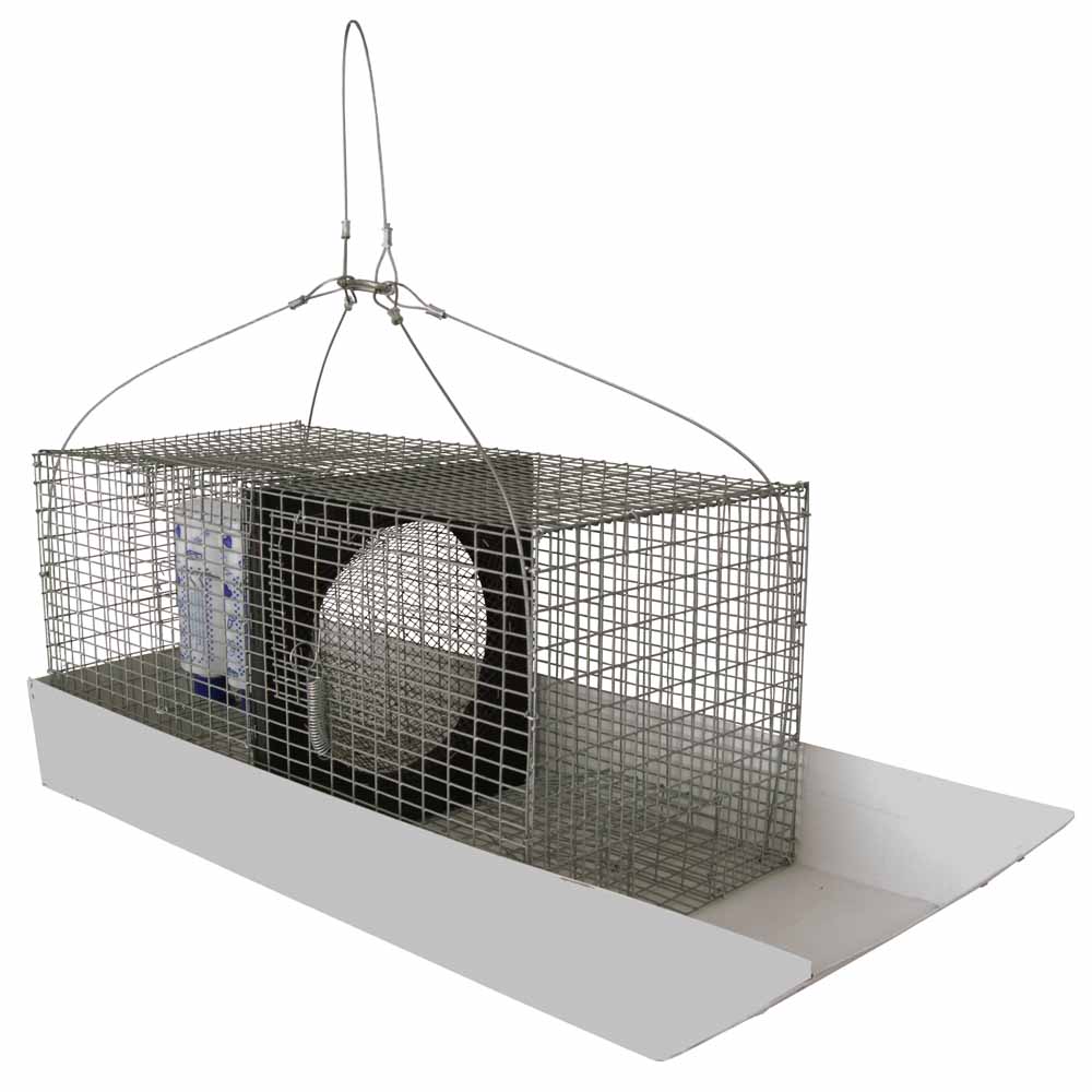 Drop Cage Bird Trap - Instructables