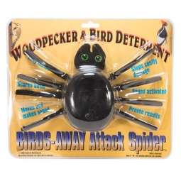 Attack Spider by Birds-Away