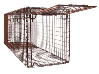 Wildlife Control Supplies: Tru-Catch™ 30LTD Light Duty Cage Trap