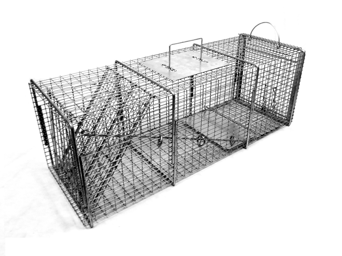 Tomahawk Model 6010SS Professional One Door Trap for Raccoon, Woodchucks w/Sliding Rear Door