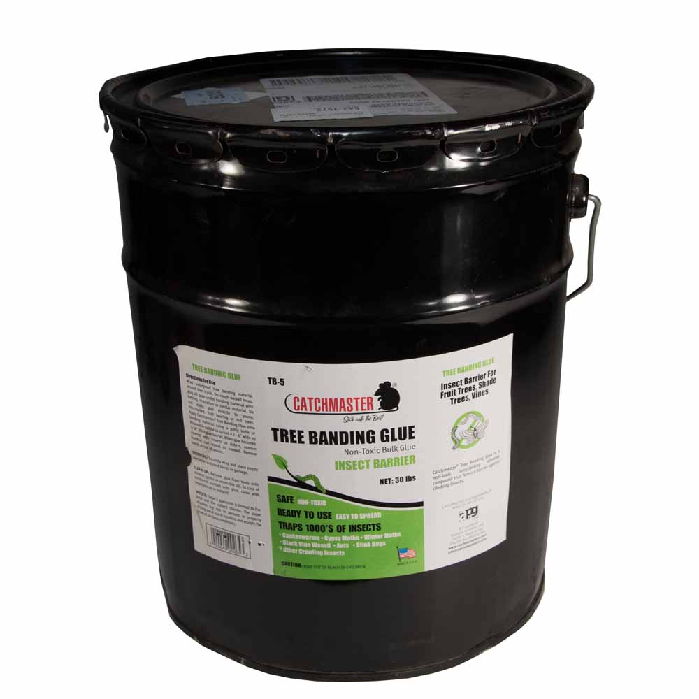 Catchmaster® Tree Banding Glue 5 Gallon Pail Wildlife Control