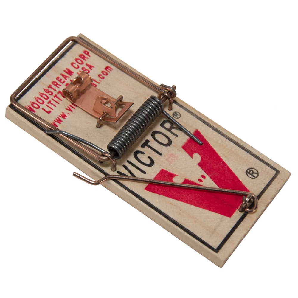 Vintage Metal Vs. Modern Plastic Trapper Mousetrap. Mousetrap Monday 