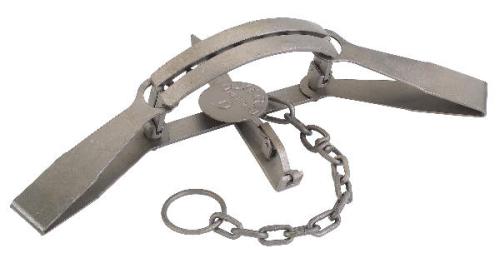 Duke #16 Bear Trap, Offset, 16" jaw spread