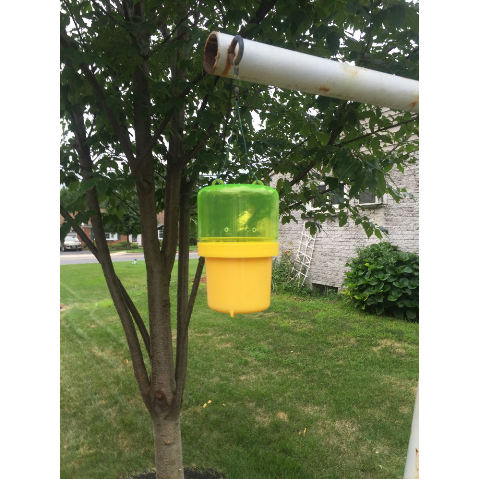 Safer Brand Yellow Jacket/Wasp Trap - Thumbnail 3
