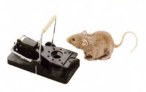 Snap-E Mouse Trap